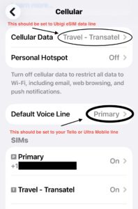 Default Voice Line
